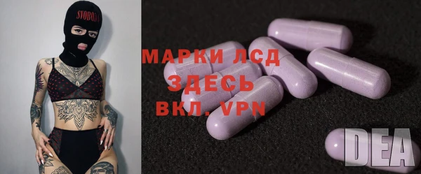 spice Аркадак