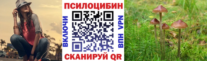 Псилоцибиновые грибы мухоморы  купить  сайты  Белокуриха 