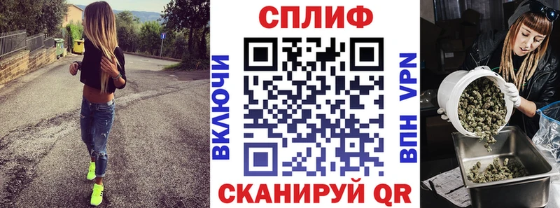 Каннабис индика  Белокуриха 